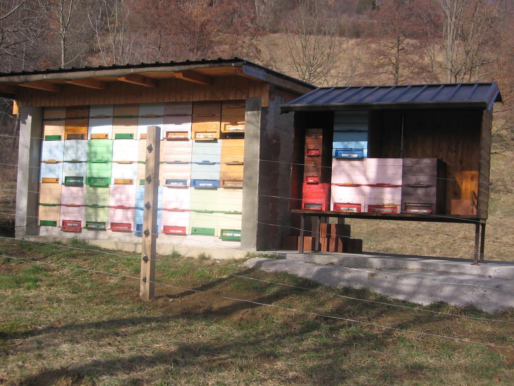 Guest House Roze Ilirska Bistrica Esterno foto