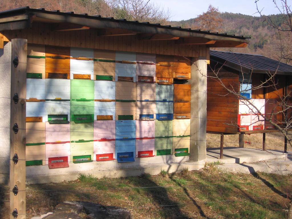 Guest House Roze Ilirska Bistrica Esterno foto