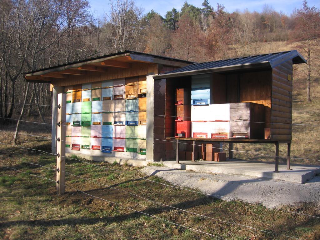 Guest House Roze Ilirska Bistrica Esterno foto